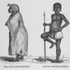 The Bull-headed Mabruki. African standing position.