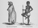 The Bull-headed Mabruki. African standing position.