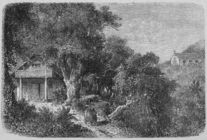 Index
