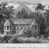 A View of the Governors Residence in the Botanic Garden - St. Vincent