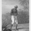 Manner of planting seeds for cotton