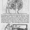 Representation of Monkeys assisting in gathering fruit; Representation of a wine-press