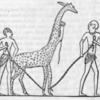 Drawing of two men holding a giraffe by ropes