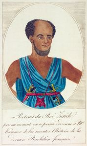 Naufrage de la frégate La Méduse : faisant partie de l'expédition du Sénégal en 1816; relation contenant les événemens qui ont eu lieu sur le radeau, dans le désert de Sahara, à Saint-Louis et au camp de Daccardisuivi d'un examen sous les rapports agri...
