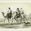 Ababdeh riding their Dromedaries