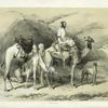 Dromedaries Halting in the Eastern Desert