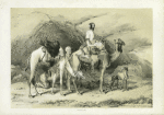 Dromedaries Halting in the Eastern Desert