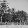 Banks of a river with coconut trees, Negroes & c. Martinique.