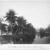 View [of] the mineral hot baths, and avenue of coconut trees. Martinique.