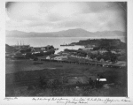 Bay & harbor of Fort-de-France. `Trois Isles,' the birthplace of Josephine, in distance. Avenue of cabbage palms.