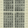 Group portraits - Whaling Captains.