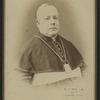Cardinal Guarino?