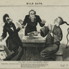 Oakey Hall - Caricatures.