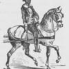 El Calesero.