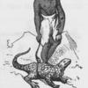 A nice pet.