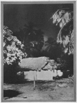 Under the moon the walls of the huts showed white beneath the heavy shadows of their thatched roofs.