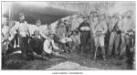 Campamento Insurrecto