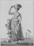Female Quadroon slave of Surinam