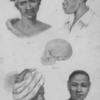 Negro race.