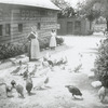 Highbridge, High Bridge Area [woman and girl with chickens]