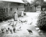 Highbridge, High Bridge Area [woman and girl with chickens]