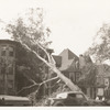 Morrisania, Exterior