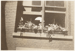 Morrisania, Windowsill
