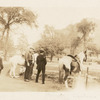 Morrisania, Ponies, Crotona Park