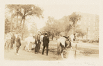 Morrisania, Ponies, Crotona Park