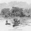 Slaves gathering sugar-cane