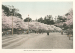 When the Cherry Blossom Blows. -- Uyeno Park, Tokyo.