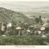 A Tea-Plantation with Tea-Pickers at Work.