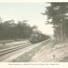 Chiyo-no-matsubara, a Celebrated Pine Grove in Kyûshû, with a Passing Train.