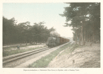 Chiyo-no-matsubara, a Celebrated Pine Grove in Kyûshû, with a Passing Train.