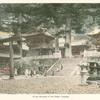 In the Grounds of the Nikko Temples.