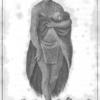 A Caffre Woman.