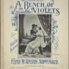 A bunch of violets