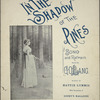 In the shadow of the pines