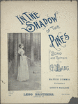 In the shadow of the pines