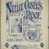 Nelly Casey's roof