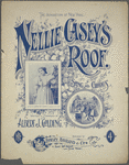 Nelly Casey's roof