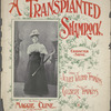 A transplanted shamrock