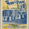 The moth and the flame