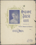 Only one daisy left