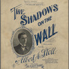 The shadows on the wall