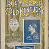 She was bred in old Kentucky
