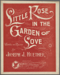 Little rose in the garden of love