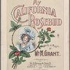 My California rosebud