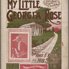 My little Georgia rose