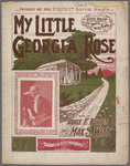 My little Georgia rose